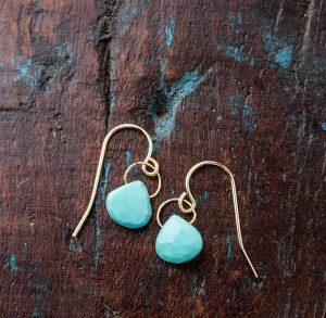 Turquoise Petite Drop Earrings